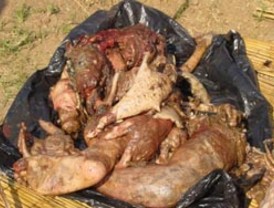 Castro ayudó a preparar el 'Caracazo'