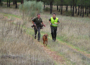 La Federación de Caza de Castilla-La Mancha alerta de la desaparición de la perdiz roja
