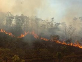 Brasil sigue liderando el ranking FIFA por delante de España
