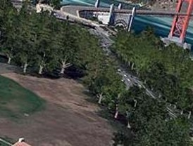 Google Earth permite caminar entre árboles tridimensionales