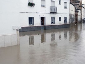 Los daños causados por las lluvias en Écija ascienden a 18 millones de euros