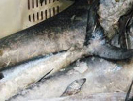 Estaré revitalizado en el Mundial de Suddáfrica: Rooney