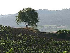 España en peligro de berlusconización