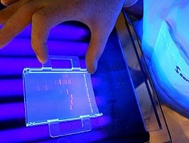 Atentado de ETA en España deja 65 heridos