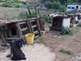 MURCIA: El PP seguirá arrollando a los socialistas