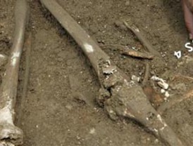 Detectan 30 casos de dengue en Misiones