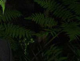 Moratinos se reúne en La Habana con Raúl Castro