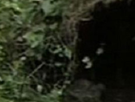 Charlie Sheen en rehabilitación