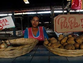 La Coalición Cívica quiere expropiar las tierras del matrimonio Kirchner