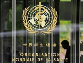 Muchas dudas y fuertes pérdidas en Wall Street