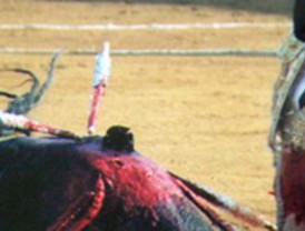 La dura justicia francesa perdona a Briatore, el exjefe de Renault sancionado por vida