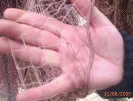 El Seprona interviene más de 10 kilómetros de redes ilegales en el Parque natural de la Bahía de Cádiz