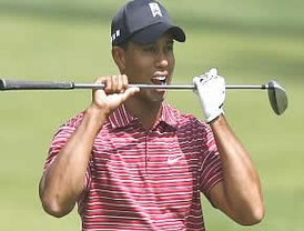 Schwarzenegger declara el estado de emergencia en Santa Bárbara