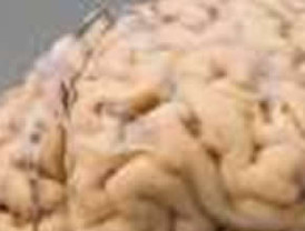 El Ministerio de Justicia invertirá 500.000 euros para la modernización tecnológica en Cantabria hasta 2012