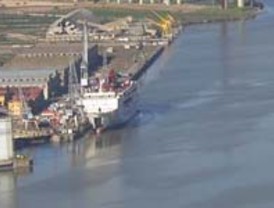 Si es posible leer la mente con sólo mirar su actividad cerebral, científicos