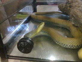 Iberia cancela el 20% de los vuelos de los casi 1.000 programados para este martes