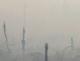 El Grupo Petersen le dio su apoyo a Brufau