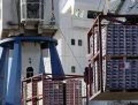 Alcalde de la oposición Capriles Radonski a juicio