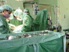 El pulpo Paul ganó al loro Mani