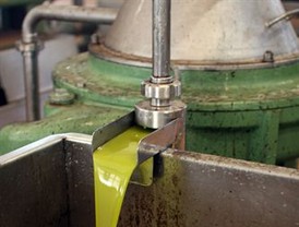 Almazaras Federadas de España pide a Rosa Aguilar que mantenga y mejore los controles de calidad del aceite