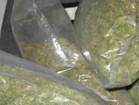 Gobierno considera histórico decomiso 105 toneladas marihuana