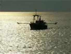 La UE mantiene la veda de la anchoa