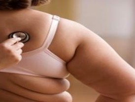 El gobierno vasco, contra la imposición del euskera