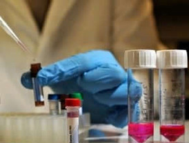 Los cívicos de Santa Cruz y Tarija en la mira