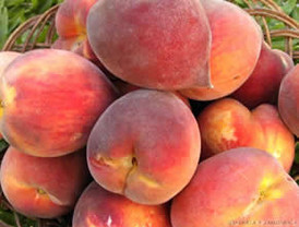 Un tribunal británico declara culpables a tres detenidos por planear atentados