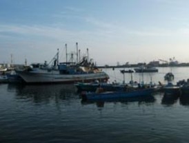 Mar se retira 30 metros en Islas Galápagos