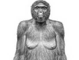 Las mujeres españolas en Argentina cuentan con su página de internet