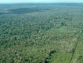 Cadivi desmiente supuestos nuevos montos para viajes