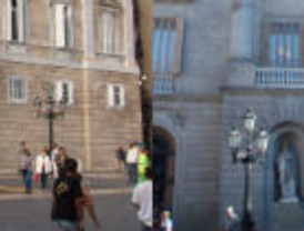 Detenido un hombre por cultivar marihuana en una finca en los Montes de Málaga