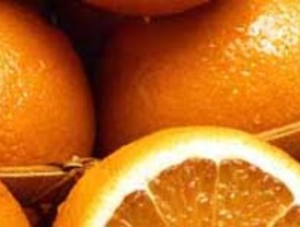 La producción de cítricos desciende un 22% en 2009, con 508.825 toneladas, sobre todo en limón