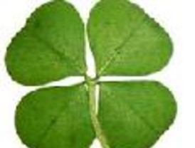 Gallardón presenta sus propuestas electorales a empresarios y sindicatos