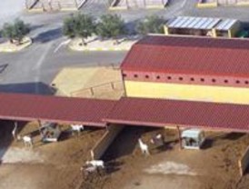 Pasa al grupo mixto la concejal del PP que se siente 'discriminada' por usar velo