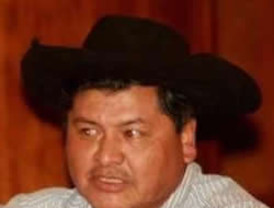 El mercado de turismos agrava su caída en la última semana al 33,50%