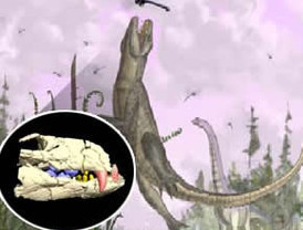 El peor invierno en 25 años de EE.UU. provoca una inusual nevada en Florida