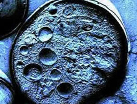 'Si las televisiones no invierten en cine, el cine español desaparece'