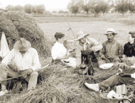 El Palau Robert acull una exposició sobre el món agrari català