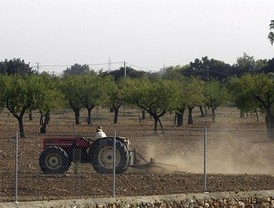 Pau Gasol aún no decide si jugará el Mundial de Turquía