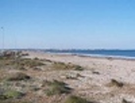 ANSE pide 'medidas urgentes para frenar la destrucción de la playa y dunas de la llana' en San Pedro del Pinatar