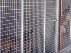 Domingo 'abertzale' en el País Vasco