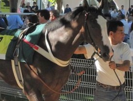 Urkullu, 'satisfecho' con el apoyo de Rajoy al Concierto Vasco