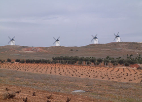 La Junta pone a disposición del sector 5.000 hectáreas de viñedo