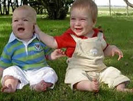 Revilla entrega este miércoles los 'Premios a la Gastronomía de Cantabria 2009'