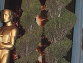 Roberto Cavalli habla del 'gay lobby'