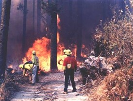 Precio de cesta referencial OPEP cae a 76,70 dólares