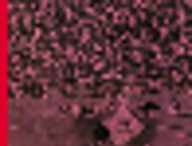 Desarrollo Rural invertirá 2,2 millones en la construcción de un cebadero de tudanco