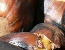 Juan José Millás ve recompensado 'un adverbio cualquiera' con el premio Don Quijote